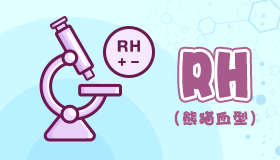 屬兔熊貓型血的性格特點 屬兔熊貓型血的男女性格特點