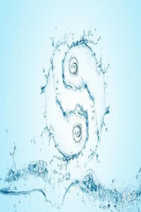 為什么千金難買四兩命 四兩命運詳解！