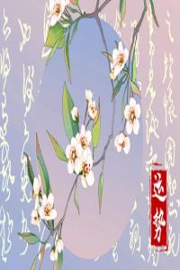 2024年星座運勢排行榜：哪些星座將迎來運勢巔峰？