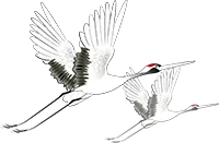 灶臺(tái)什么顏色好看又吉利？灶臺(tái)對(duì)財(cái)運(yùn)的影響有哪些？