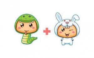 兔和蛇的屬相合不合