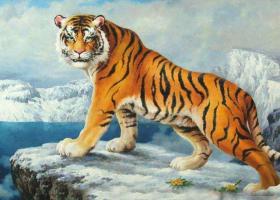 屬虎人性格特征和脾氣分析