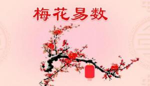 梅花易數是怎么回事？