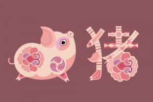 屬豬和什么屬相最配