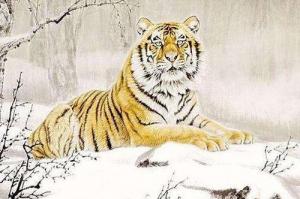 屬虎的人性格和優(yōu)缺點(diǎn)