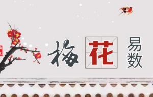 梅花易數解卦對照表