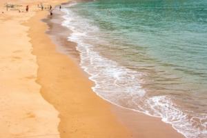 大海水命和大林木命相配嗎