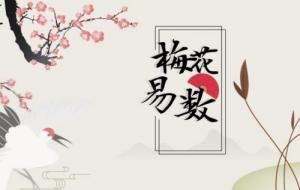 梅花易數最厲害三個公式