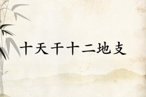 十天干十二地支順口溜口訣