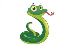 屬蛇的五行屬性是什么