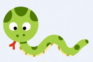 屬蛇的人適合養什么動物