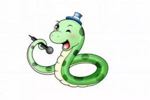 屬蛇的和什么屬相最合得來