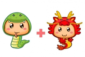 屬蛇和屬龍的相配嗎