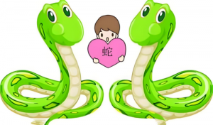 屬蛇和屬蛇的合不合