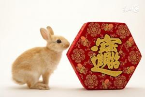 87年屬兔38歲運(yùn)勢走向