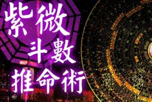 紫微斗數怎么排盤