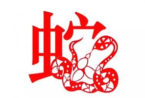 屬蛇的和什么屬相犯沖