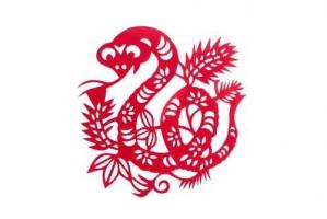 屬蛇的人一生命運如何