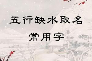 五行缺水怎么取名字