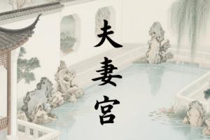 夫妻宮沒有主星意味著什么