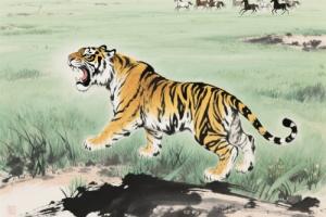 富貴虎一般生在幾月