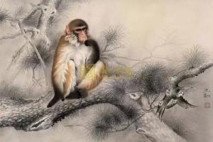 屬猴男愛你入骨的表現(xiàn)