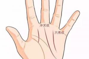 霸王線和三奇紋區別？