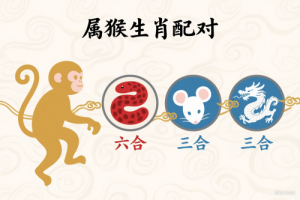 屬猴的三合和六個合生肖是什么