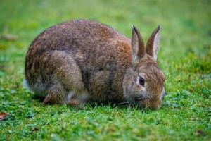 屬兔的住幾樓最吉利