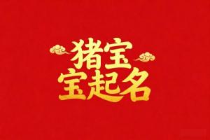 屬豬男孩子取名字大全