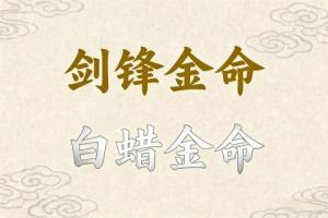 劍鋒金命和白蠟金命結婚好么