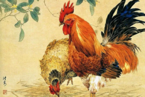 屬雞的最佳婚配和最忌婚配