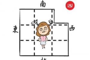 西南角最忌諱放什么