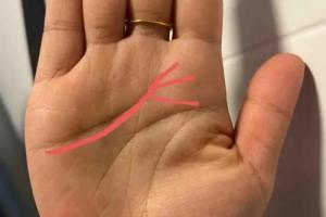 什么是鳳尾紋手相