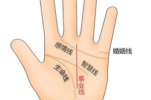 事業線從上往下看還是從下往上看