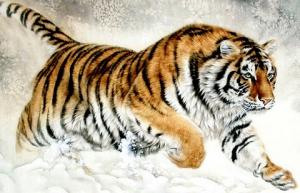 五行屬木的生肖是哪幾個生肖