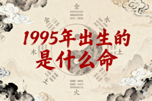 1995年出生的是什么命